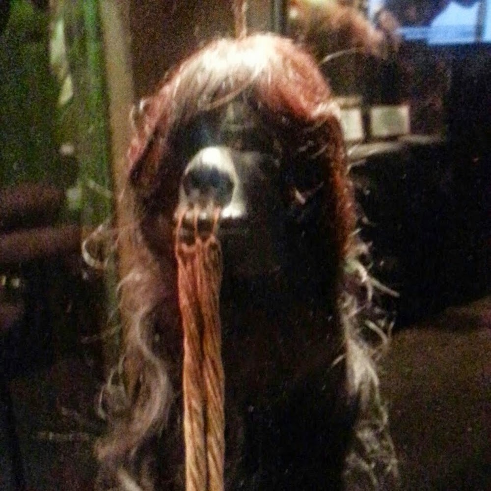 Meet your Posher, Ann